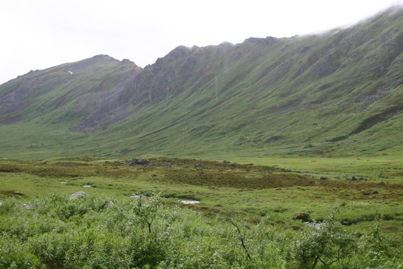 070404 Hope Hatcher Montana Creek (10167)
